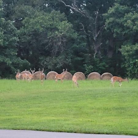 Deer Run Estate Llc 호텔 Marshfield 외부 사진