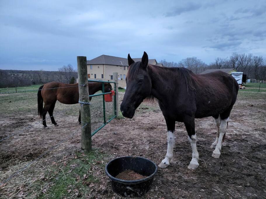 Deer Run Estate Llc 호텔 Marshfield 외부 사진
